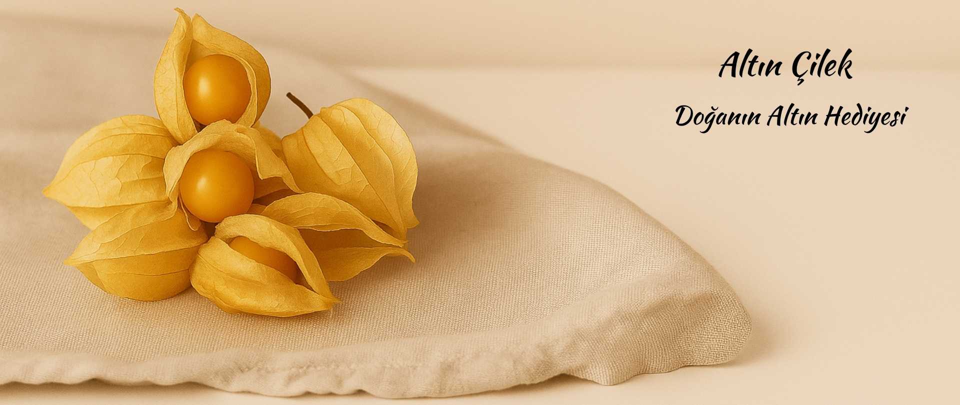 Altın Çilek | Kral Agro