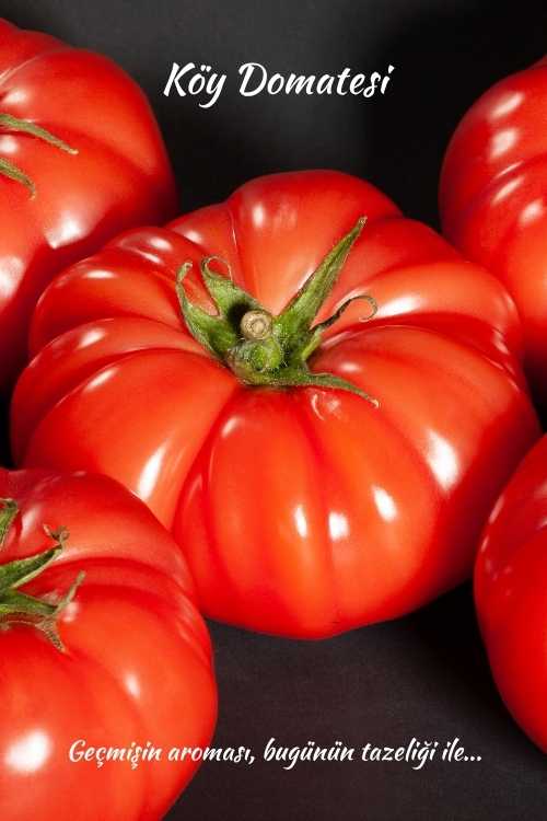 Köy Domatesi | Kral Agro