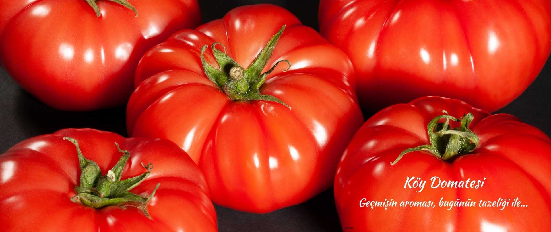 Köy Domatesi | Kral Agro